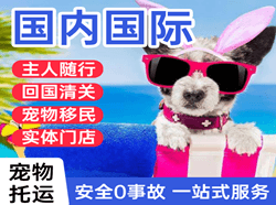 南昌航空空运国际宠物托运 【国